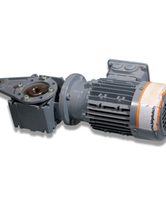 Mot-g 0.18kW worm gear IEC 17r hollow shaft 18H7 OptiPlate